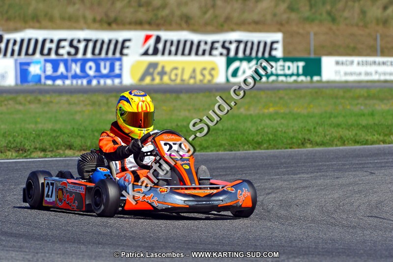 DSC_ (1206).jpg